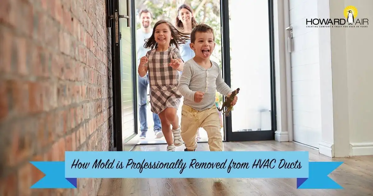 Featured image for post: How to Remove Mold from Air Conditioner Ducts