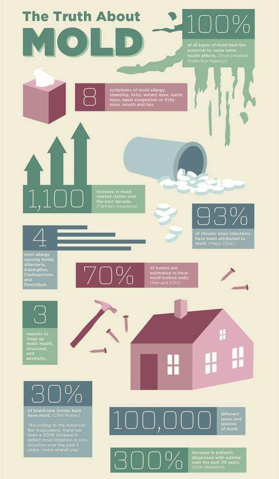 Home Mold Statistics & Facts Infographic
